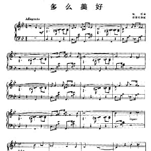 多么美好 钢琴谱 佩狄曲 孙维权