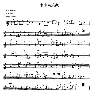 电子琴谱 | 小小音乐家