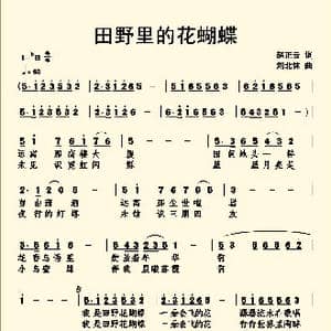 田野里的花蝴蝶_歌曲简谱_词曲:赵正云 刘北休