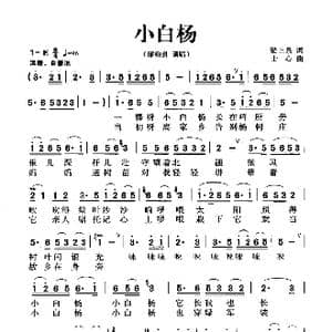小白杨 _歌曲简谱_词曲:梁上泉 士心