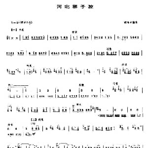 河北梆子腔 唢呐谱 胡海泉