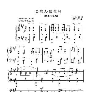 白发人 踏花归_歌曲简谱_词曲:任志萍 葛清