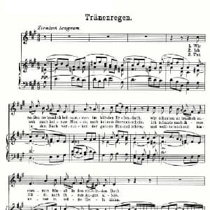 Tranenregen_外国歌谱