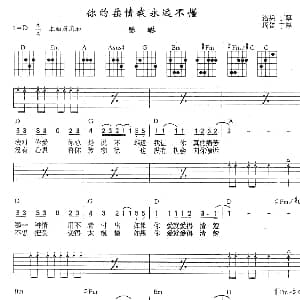 你的柔情我永远不懂 吉他谱 陈琳