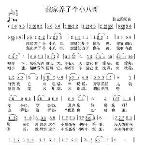 我家养了个小八哥_儿歌乐谱_词曲:张宏梁 张宏梁