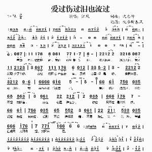 爱过伤过泪也流过_歌谱投稿_词曲:沈志仲 沈志仲