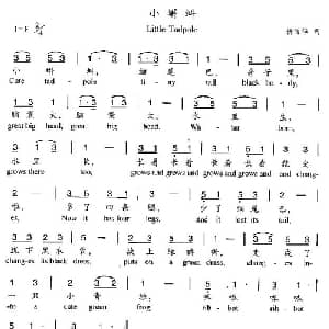 小蝌蚪_儿歌乐谱_词曲:杨丽华 杨丽华