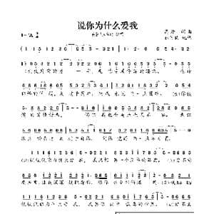 说你为什么爱我_歌曲简谱_词曲:高进 高进