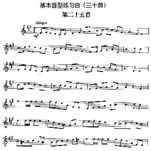 基本音型练习曲第二十五首