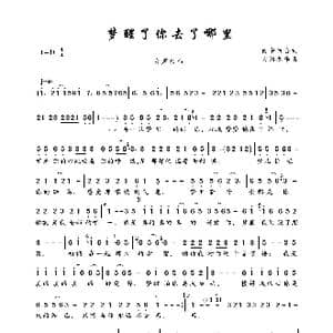 梦醒了你去了哪里_歌曲简谱_词曲:雨中百合 大约冬季