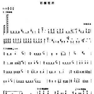 古筝谱 | 石榴花开 徐晓林