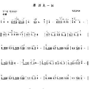 二胡谱 | 潇洒走一回