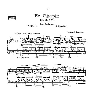 53首以肖邦练习曲为素材而作的练习曲 钢琴谱 里奥鲍尔德 戈多夫斯基