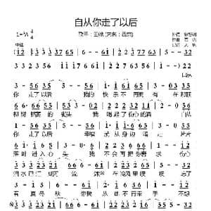 自从你走了以后_歌曲简谱_词曲:徐智渊 毒恋