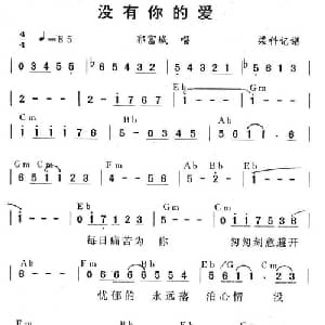 没有你的爱_通俗唱法乐谱