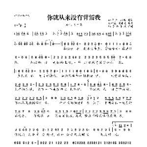 ​你就从来没有背叛我_歌曲简谱_词曲:孙中亮 孙旺 孙中亮 刘伟光