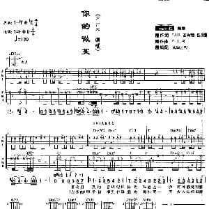 你的微笑 吉他谱 飞儿乐团