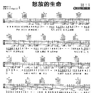 怒放的生命 吉他谱 汪峰 汪峰 汪峰