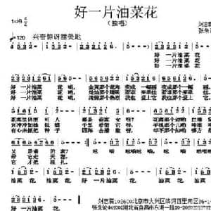 好一片油菜花_民歌简谱_词曲:刘志毅 张朱论