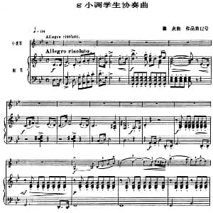 小提琴谱 | 塞茨初级小提琴协奏曲Op.12 g小调学生协奏曲 塞茨