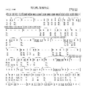 马儿啊,你慢些走_美声唱法乐谱_词曲:李鉴尧 生茂