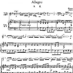 小提琴谱 | Allegro 快板 小提琴 钢琴伴奏 费奥科