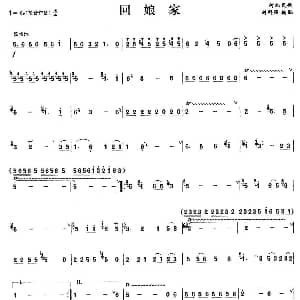 笛子谱 | 回娘家