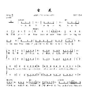 雪花_歌曲简谱_词曲:张帅 张帅