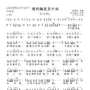 想问梅花多少泪_歌曲简谱_词曲:臧明华 凡间精灵