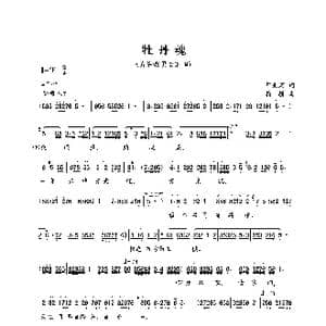 牡丹魂_歌谱投稿_词曲:舒先震 精耕