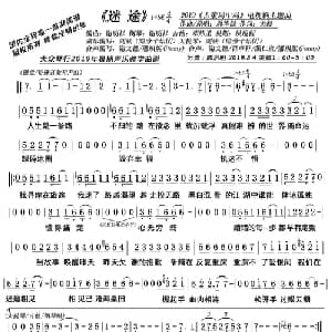 迷途_通俗唱法乐谱_词曲:黄婷 周华健