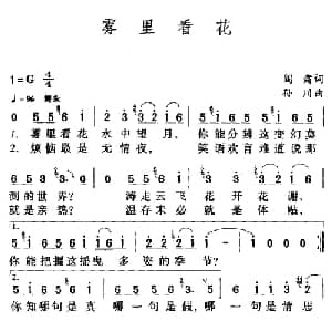 雾里看花_通俗唱法乐谱_词曲:阎肃 孙川