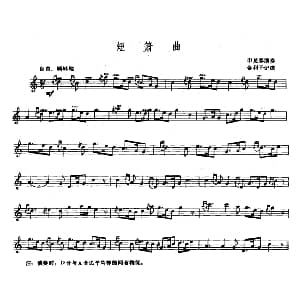 短箫曲 短箫 五线谱 金利子记谱