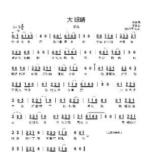 大眼睛_歌曲简谱