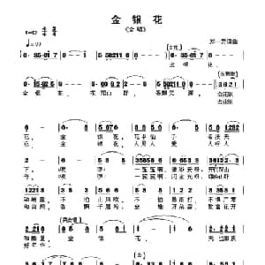 金银花_合唱歌谱_词曲:郑一君 郑一君