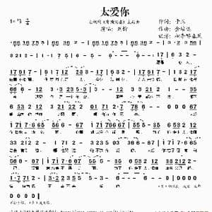 太爱你_歌谱投稿_词曲:于正 金培达