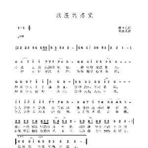 浪漫的感觉_歌曲简谱_词曲:孙国良 黄永杰