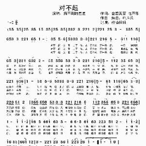 对不起_歌谱投稿_词曲:金碧芙蓉 电声乐