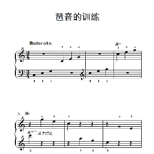 琶音的训练 钢琴谱