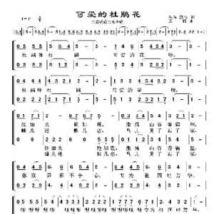 可爱的杜鹃花_歌谱投稿_词曲:朱玛 凯传 王 酩