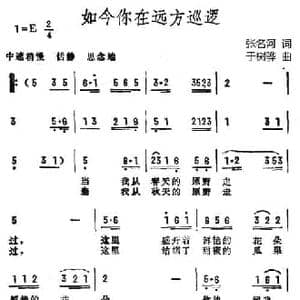 如今你在远方巡逻_民歌简谱_词曲:张名河 于树骅