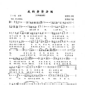 我的老爸老妈_通俗唱法乐谱_词曲:张家源 张家源