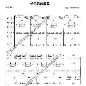 恰似你的温柔_歌曲简谱