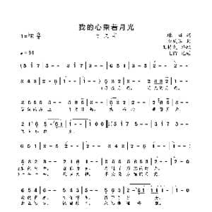 我的心乘着月光_歌曲简谱_词曲:琳海 王持久 金凤浩
