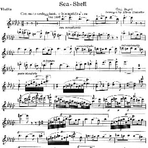 小提琴谱 | Sea Shell Engel