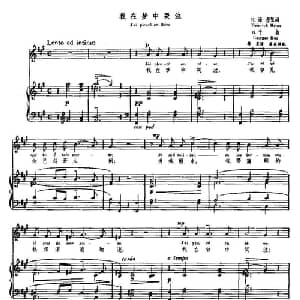 我在梦中哭泣 法国 _外国歌谱_词曲:H 海涅原 G 于