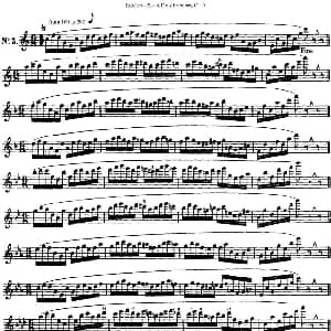 长笛曲谱 | 瑞澈特七首每日长笛练习曲Op.5 NO.3 Reichert 瑞澈特