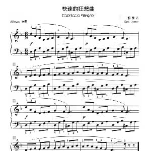 快速的狂想曲 钢琴谱 郭赛克