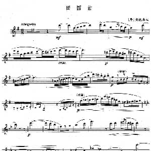 长笛曲谱 | 田园曲 丹 安德森