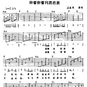 你看你看月亮的脸 吉他谱 孟庭苇